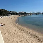 Escapade Palm A 50 M De La 4 Personnes *