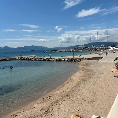 Escapade Palm A 50 M De La 4 Personnes * Cannes