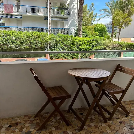 Apartment Escapade Palm A 50 M De La 4 Personnes