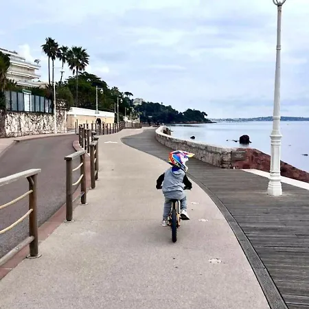 Apartment Escapade Palm A 50 M De La 4 Personnes Cannes