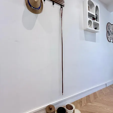 Escapade Palm A 50 M De La 4 Personnes Apartmán *